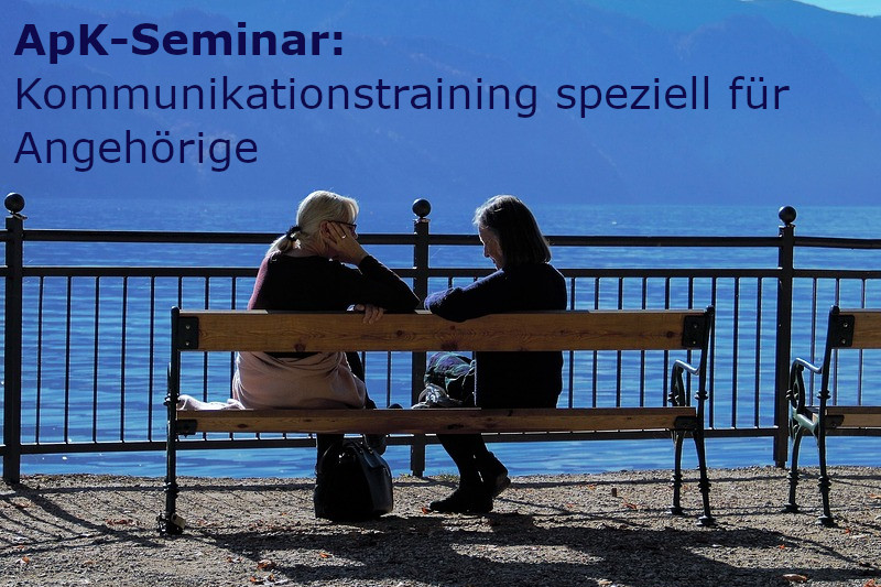 Seminar für Angehörige: Kommunikationstraining zum Umgang mit emotional instabilen Menschen am 28.-29.11.20